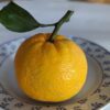 Une mandarine japonaise hashimoto jaune avec une feuille sur une assiette