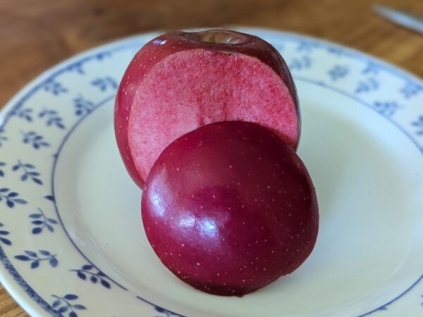 Pomme rouge à chair rouge Malus Roter Mond, coupée en deux