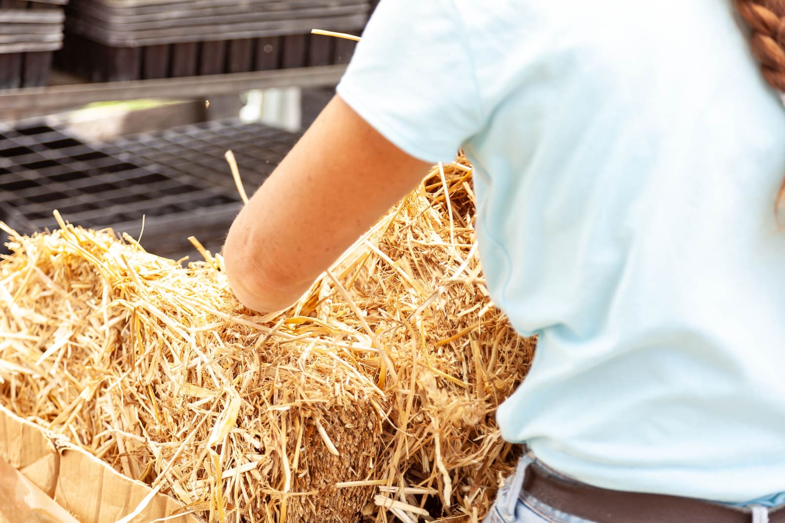 Le paillage dans le jardin