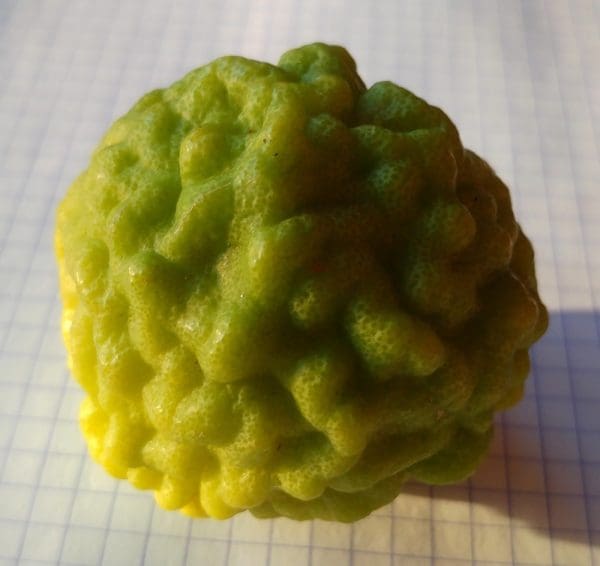 combava
