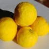 quatre citrons