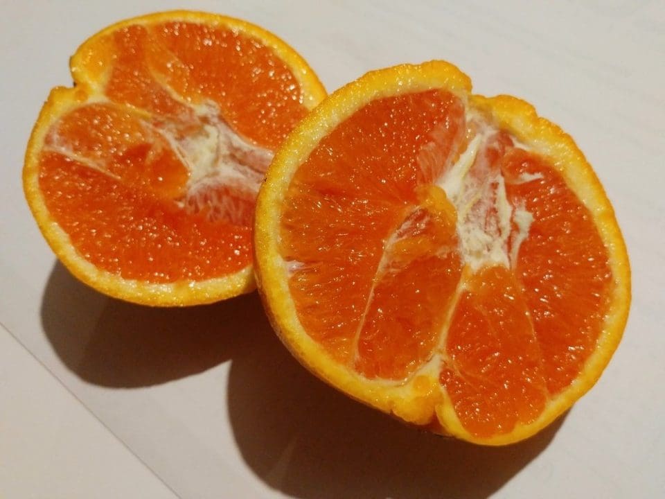 Cara Cara Navel: Un Cítrico Único