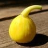 meddin lemon