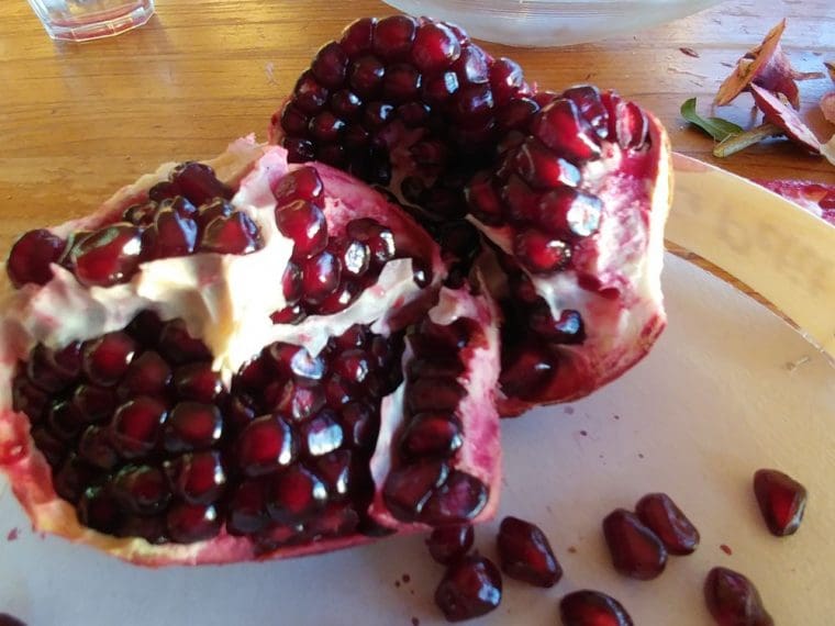 Grenadier à fruits « Ariana », Punica granatum « Ariana »