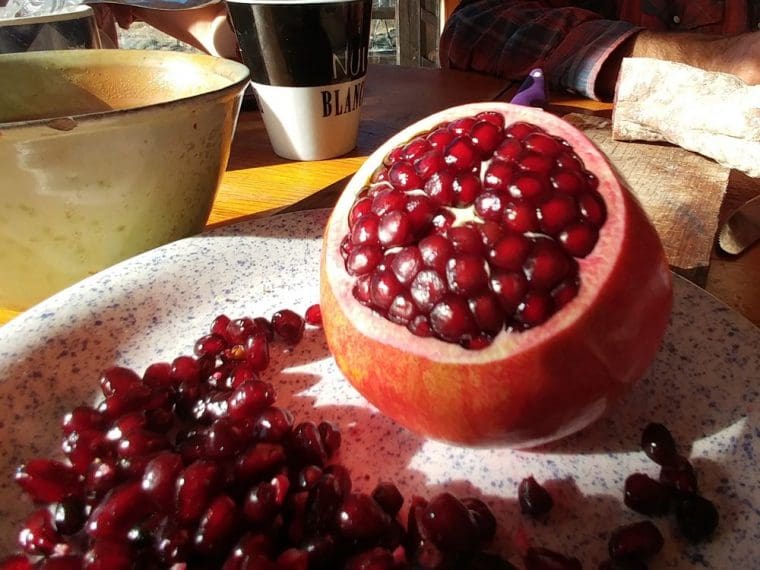 Grenadier à fruits « Ariana », Punica granatum « Ariana »