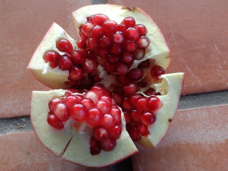 Grenadier à fruits « Kazake », Punica granatum , Pomegranate
