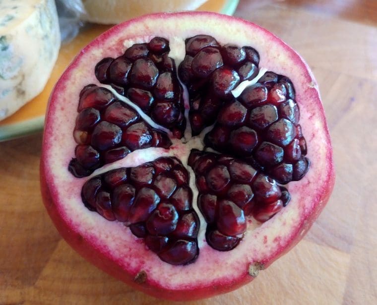 Grenadier à fruits « Myatadzhy », Punica granatum, Pomegranate