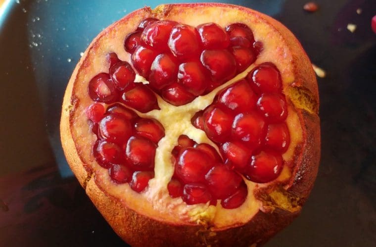 Grenadier à fruits « Ras el Bagl », Punica granatum « Ras el Bagl »