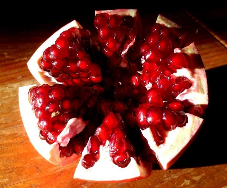 Grenadier à fruits « Sirenevyi », Punica granatum « Sirenevyi »