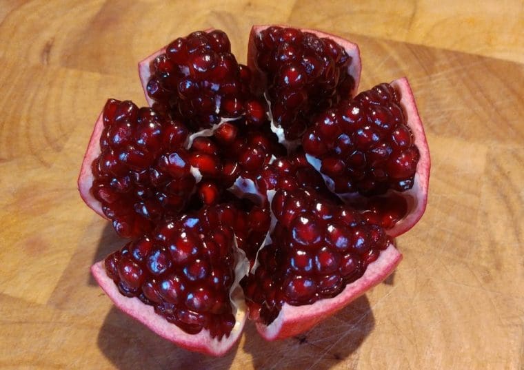 Grenadier à fruits « Sogdiana », Punica granatum, Pomegranate