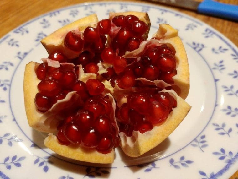 Grenadier à fruits « Sweet », Punica granatum, Pomegranate