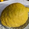 Un beau fruit jaune de Cedrat maxima qui remplit tout une assiette de dessert!