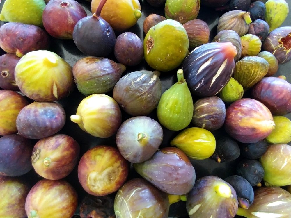 figues