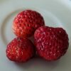 fruits de couleur rouge foncé, à forme aplati de 3 framberries sur une assiette blanche