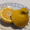 Un citrus Haruka ouvert sur une assiette