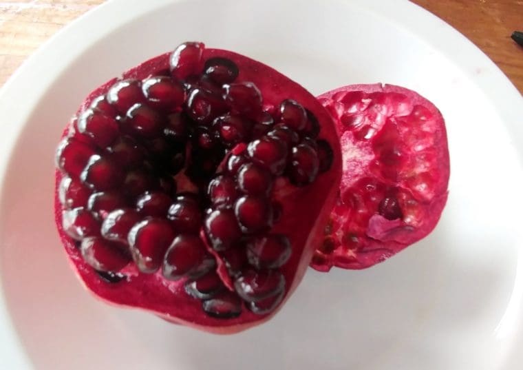 punica-granatum-girkanets-petit-open