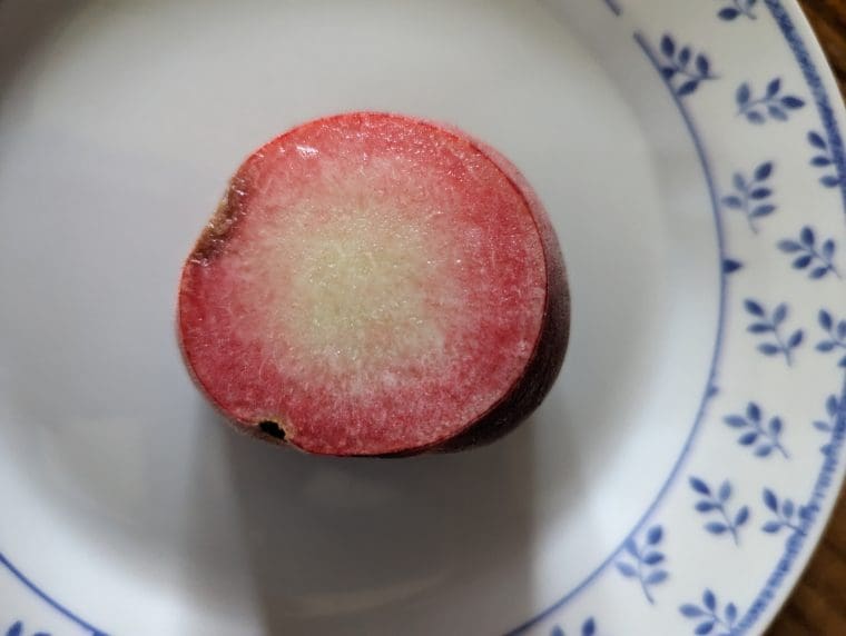 peche-bulgare