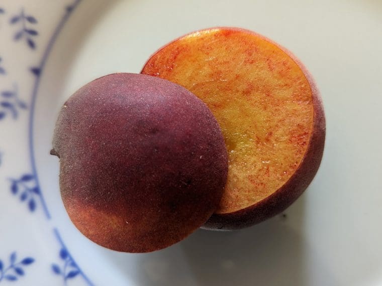 peche-sang-juillet