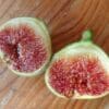 ficus carica palmares