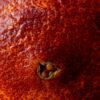 zoom sur la peau d'une orange sanguinelli