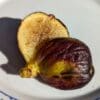 ficus carica ariel