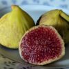 Figues bien mûres de la variété Bourjasotte blanche ou Blanche de Soliès, peau jaune doré, chair bien rouge