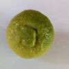 un citron citradia 139 avec le téton visible
