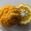 Citron Citradia 139 mûr, chair bien jaune