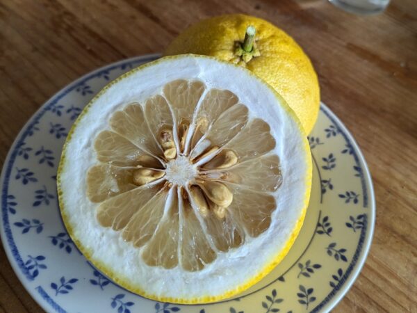 Un citrus maxima hirado buntan coupé en deux sur une assiette