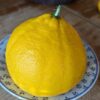 un grand pamplemousse jaune Valentina sur une assiette