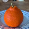 un beau fruit de Mineola bien orange sur une assiette