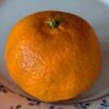 une mandarine robinson sur une assiette
