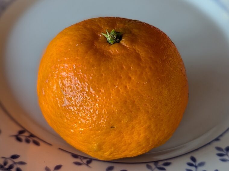 citrus-reticulata-robinson-25-1