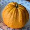 Une orange cara cara panaché posée sur une assiette