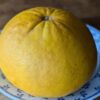 un pomelo Star Ruby posé sur une assiette