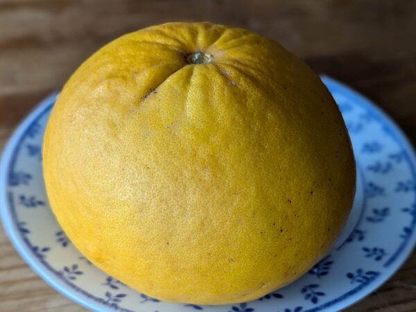 un pomelo Star Ruby posé sur une assiette