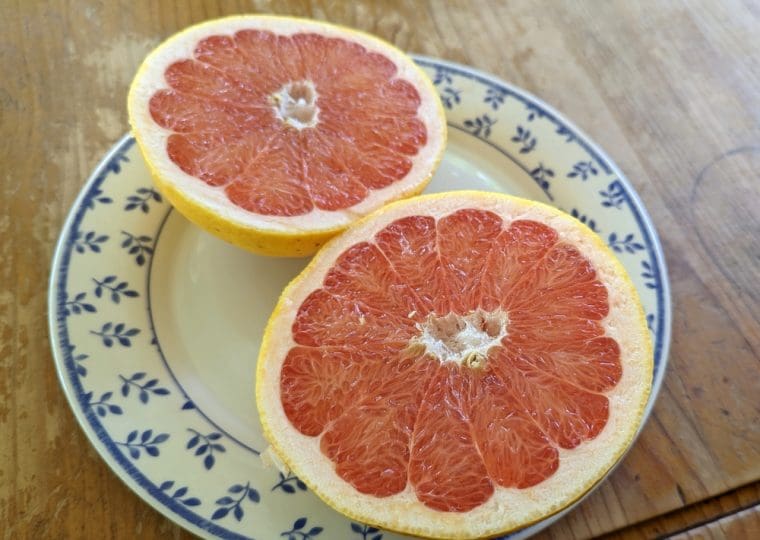 citrus-pomelo-star-ruby