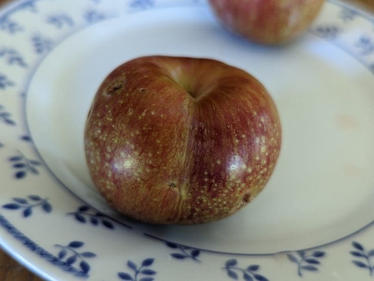 prunus-flavor-supreme