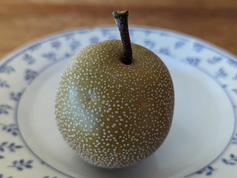 Nashi-hosui