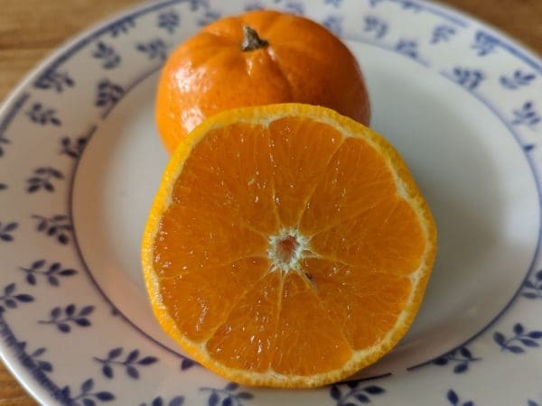 clémentine coupé en deux sur assiette