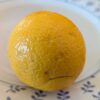 un citrus jaune posée sur une assiette blanche avec de petites fleurs bleues