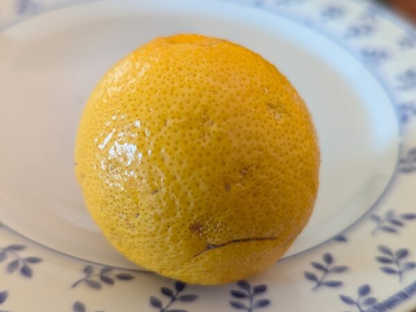 un citrus jaune posée sur une assiette blanche avec de petites fleurs bleues