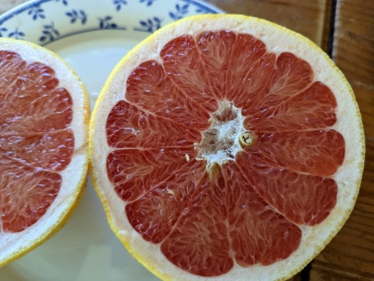 citrus-pomelo-rio-red