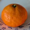 une mandarine Dobashi Beni mûre sur une assiette