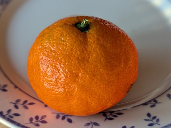 une mandarine Dobashi Beni mûre sur une assiette