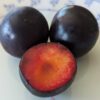 trois fruits de l'hybride prunus globus bien mûr , un coupé en deux