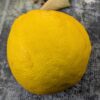 Beau fruit grand, jaune d'un citrus ichangensis, utilisé comme citron au goût bien riche et complexe à maturité