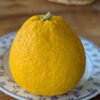 Marumero : petit pomelo à peau jaune, légèrement orangé à maturité