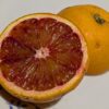 une orange sanguine tarocco coupé en deux sur une assiette