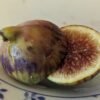 figue ficus carica honeyherat coupée en deux